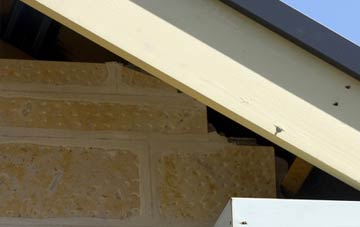 soffit repair Presnerb