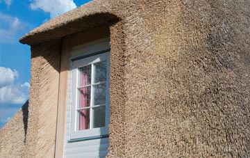 Presnerb thatch roof disadvantages